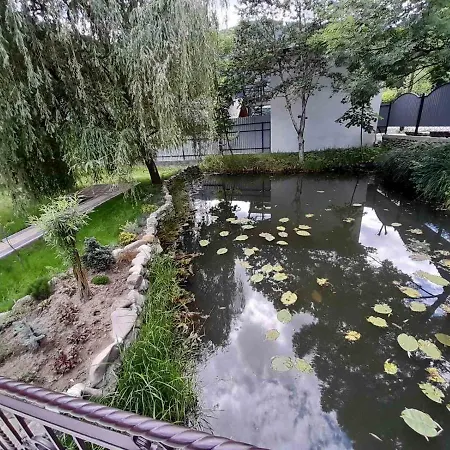 срібний вовк * Sasivka