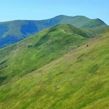 срібний вовк