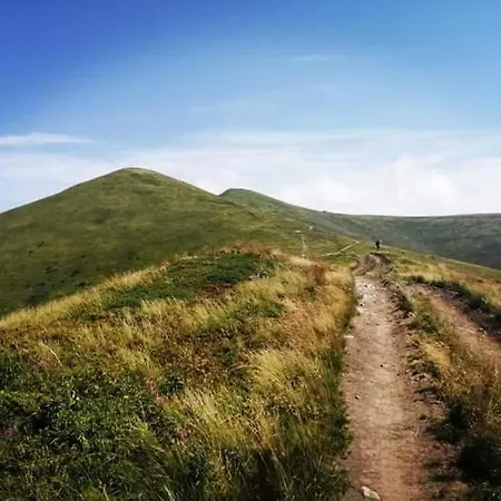 срібний вовк 펜션 Sasivka