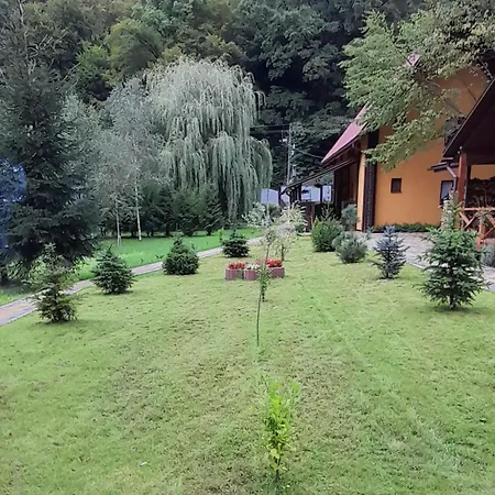 Σπίτι διακοπών срібний вовк