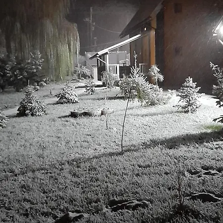 срібний вовк Sasivka