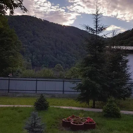 срібний вовк 펜션 *