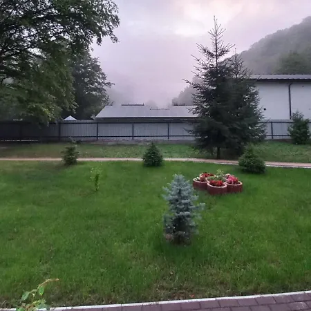 срібний вовк * Sasivka