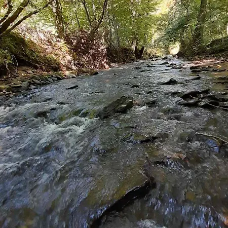 펜션 срібний вовк Sasivka