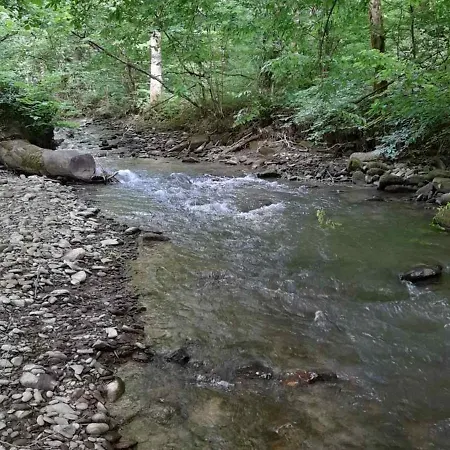 срібний вовк Σπίτι διακοπών