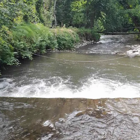 срібний вовк 펜션 Sasivka