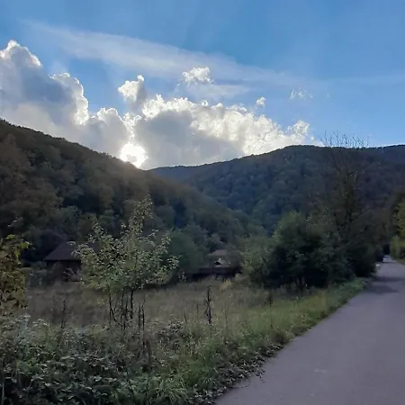 срібний вовк * Sasivka