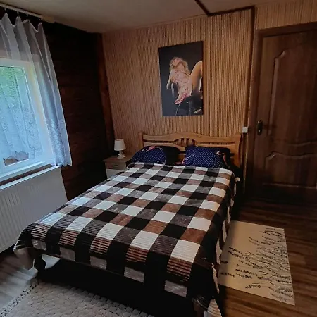 срібний вовк 펜션