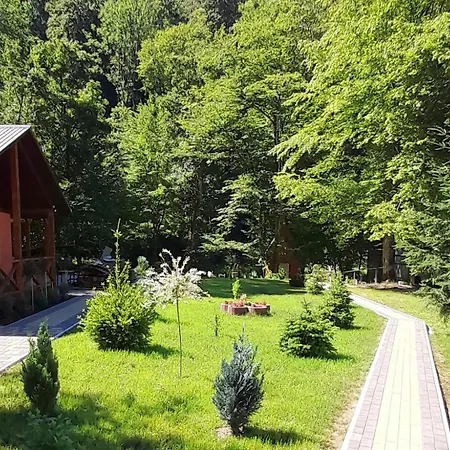 Σπίτι διακοπών срібний вовк Sasivka