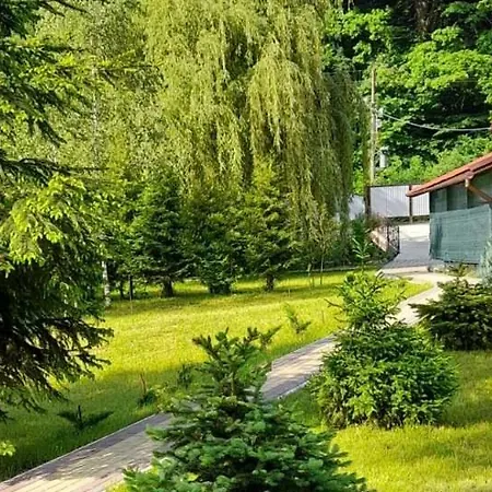 срібний вовк Сasa de vacaciones Sasivka