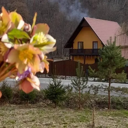 펜션 срібний вовк Sasivka