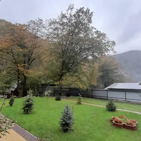 срібний вовк