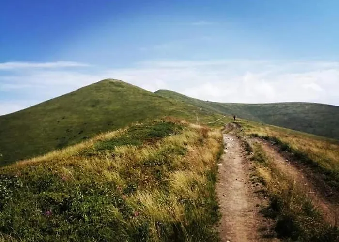 срібний вовк Hébergement de vacances Sasivka