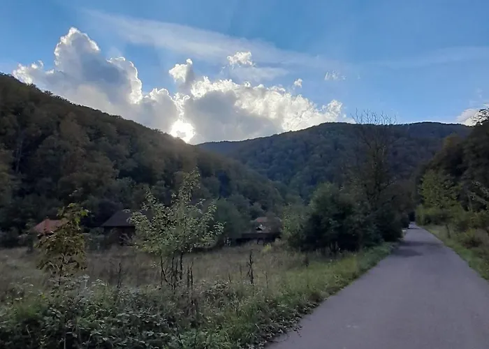 срібний вовк * Sasivka