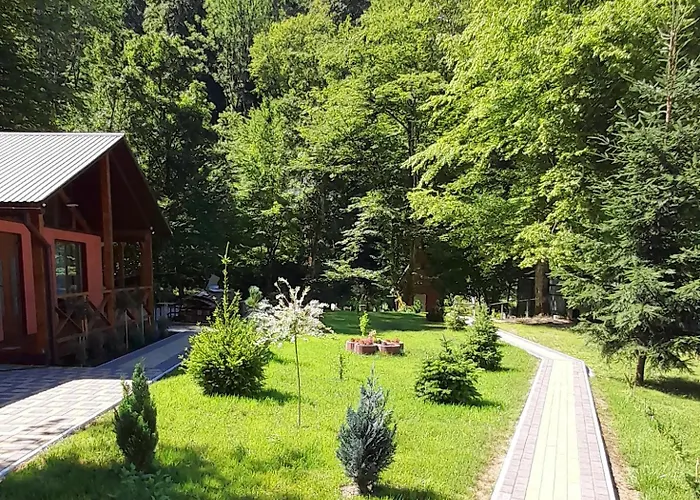 Hébergement de vacances срібний вовк Sasivka