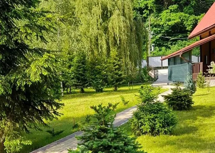 срібний вовк Hébergement de vacances Sasivka