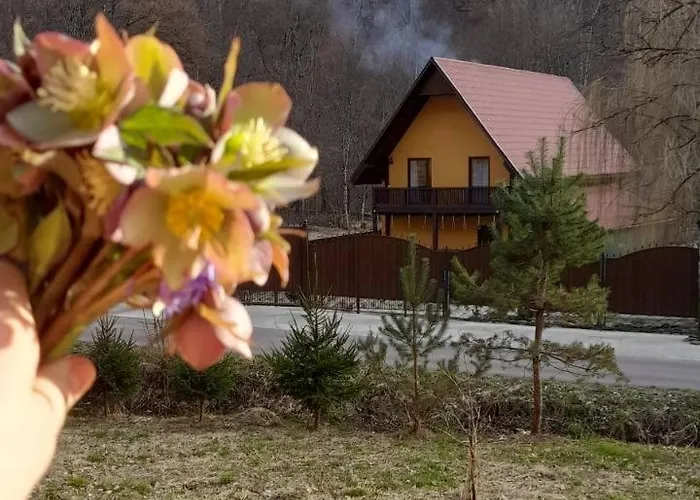 Hébergement de vacances срібний вовк Sasivka